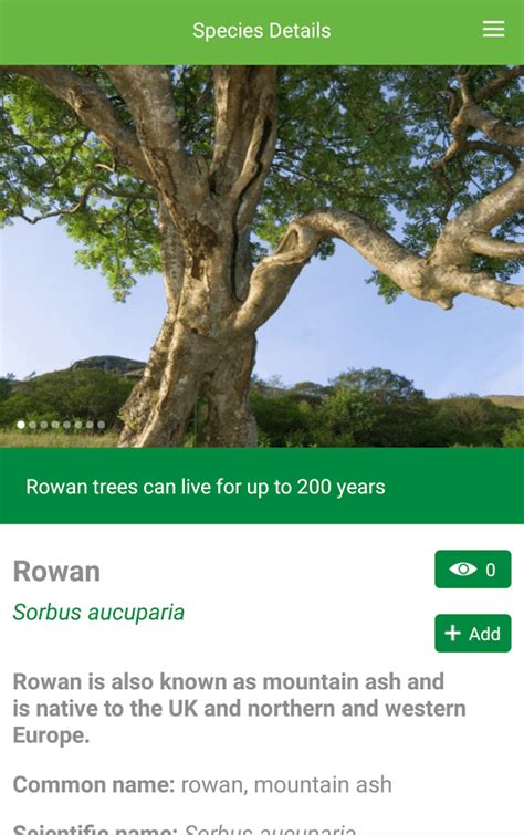 Free Tree Identification App Android Ihsanpedia