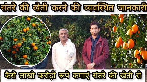 सतर क खत क जनकर santre ki kheti orange farming in India