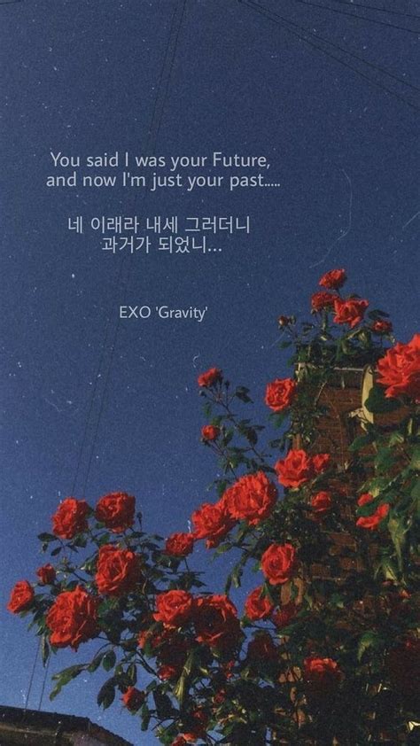 Exo Lyrics Exo Quotes Hd Phone Wallpaper Pxfuel