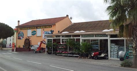 Agricultural Cooperative Les Ilaires Le Lavandou Provence Alpes