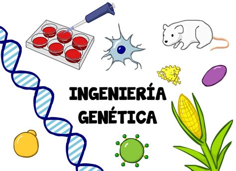 Genetica Ingenier A Genetica