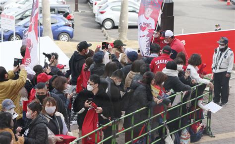 【キャンプ写真速報】清原和博氏は中日2軍キャンプへ ロッテ沢村拓一が合流 プロ野球ライブ速報写真ニュース 日刊スポーツ