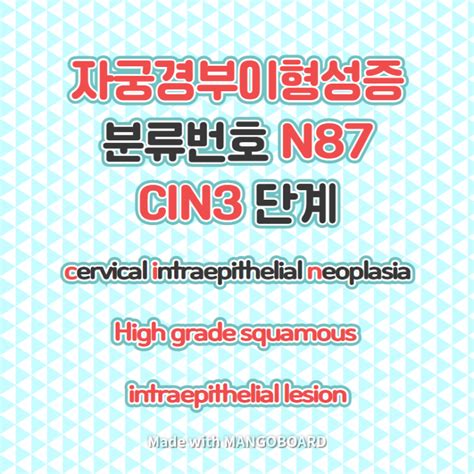 중증 자궁경부이형성 N87 및 D06 코드 암진단비 받아드려요 Cin3단계 보험금 해결 네이버 블로그