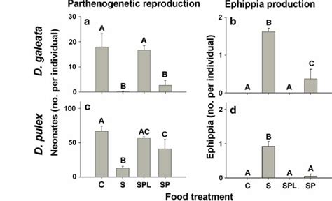 Parthenogenetic reproduction (expressed as neonate production) and... | Download Scientific Diagram