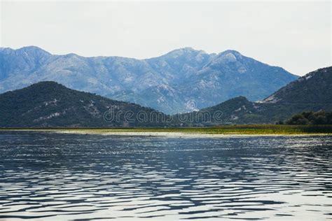 Parque Nacional Del Lago Skadar En Montenegro Vistas A Las Monta As