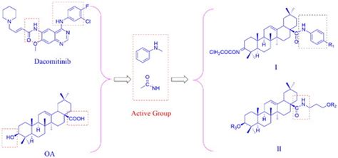 Design Synthesis And Antitumor Activity Of Novel Oleanolic Acid