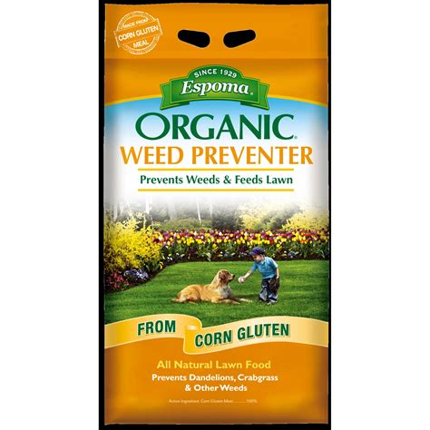 Top 10 Organic Weed Killers: The Eco-Friendly Gardener's Arsenal