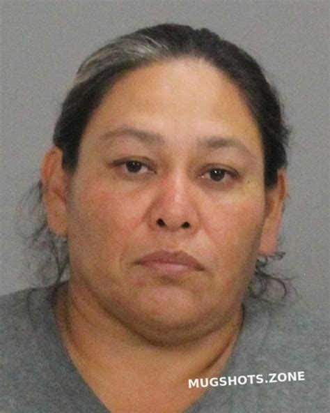 MEJIA OLGA ISABEL 08 06 2022 Brazos County Mugshots Zone