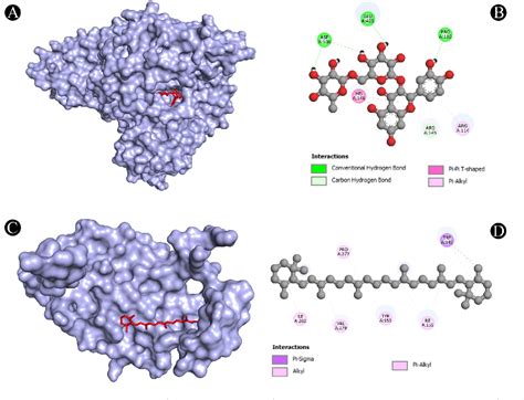 Figure 2 From Network Pharmacology Molecular Docking And Molecular