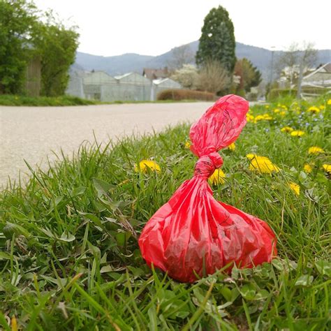 Wie Hei En Deine Geocaches Doch Gleich Stadt Am Fluss Und Ich