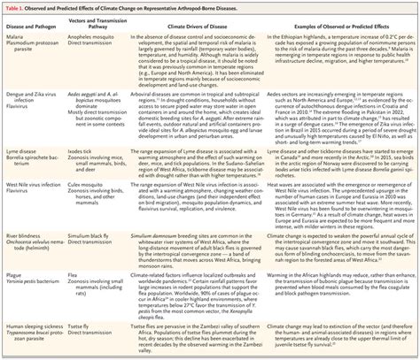 Cambio Clim Tico Y Enfermedades Transmitidas Por Vectores Fundaci N