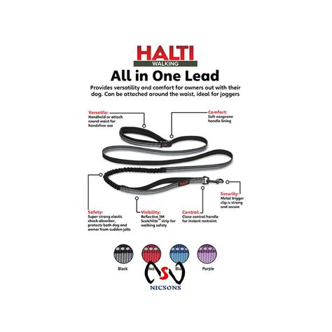 Halti All In One Dog Lead Purple Large The Warehouse