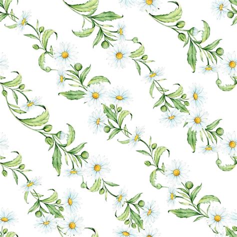 Premium Vector Chamomile Seamless Pattern Watercolor