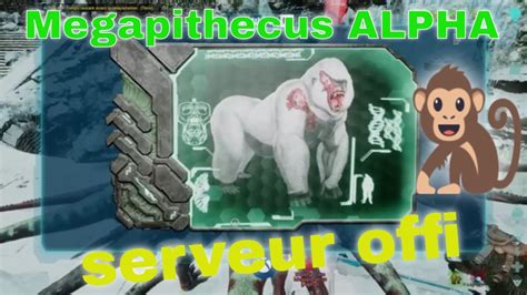 Megapithecus En Alpha Ark Ascended Serveur Offi Youtube