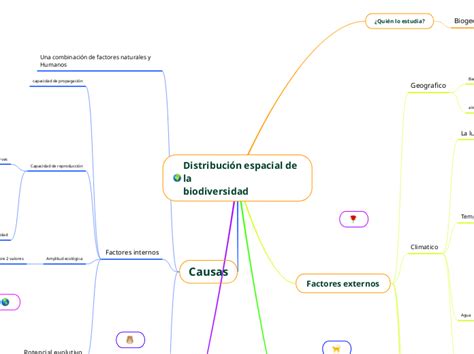 Distribución espacial de la Mind Map