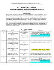 Syllabus CCJ 3024 Advanced Principles In Criminal Justice Fall 2021 1