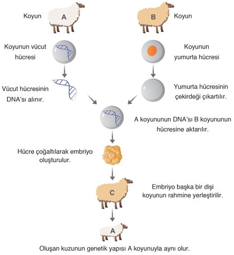 Biyoteknolojinin Yararları ve Zararları Pruva Akademi Yayıncılık