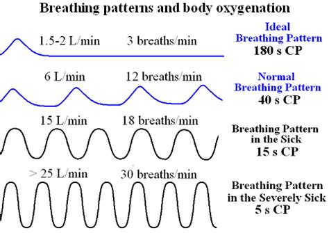 types  respiratory patterns  charts