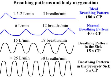 Types Of Respiratory Patterns With Charts