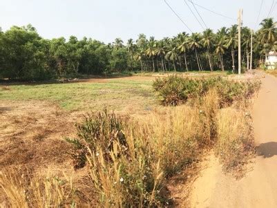 Land For Sale At Pappinisseri Kannur Kerala Real Estate