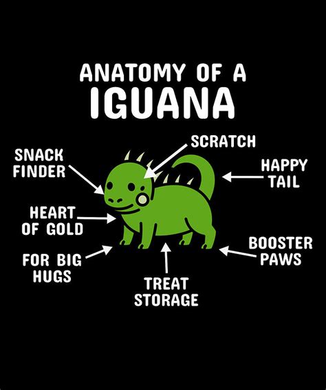 Anatomy Of A Iguana Digital Art by Jeff Chen - Pixels