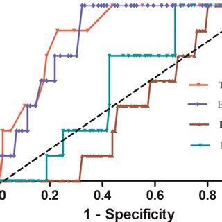 The Receiver Operating Characteristic ROC Curves Constructed For