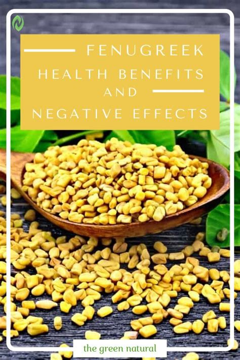 Fenugreek Health Benefits And Negative Effects Fenugreek Health Benefit