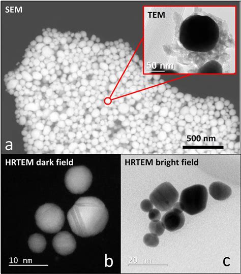 A SEM Micrograph Of PVP Stabilised AuNPs With A TEM Of Representative