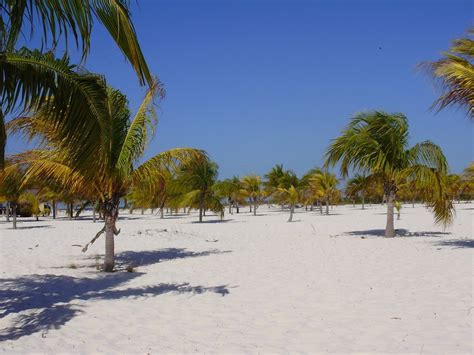 Cayo Largo beach, Cuba - Ultimate guide (January 2025)