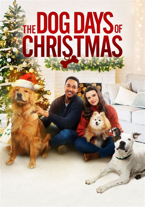 The Dog Days of Christmas streaming: watch online