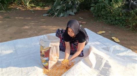 SEDIH SUAMI JATUH DARI LANTAI 10 KEHIDUPAN JANDA DESA MISKIN