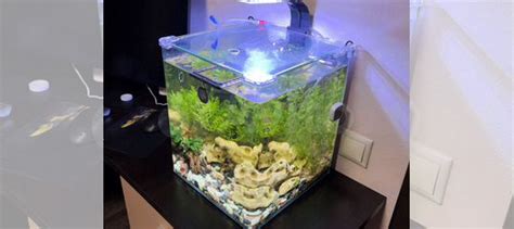 Аквариум Dennerle Nano Cube 30 литров купить в Москве | Животные и ...