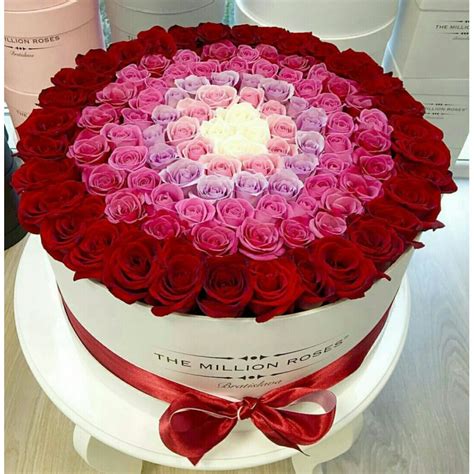 VALENTINE GIFT 50 ROSE FLOWERS - Giftpattaya.com