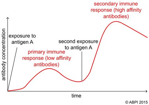 Artificial Passive Immunity Graph - Tripp-has-Hines