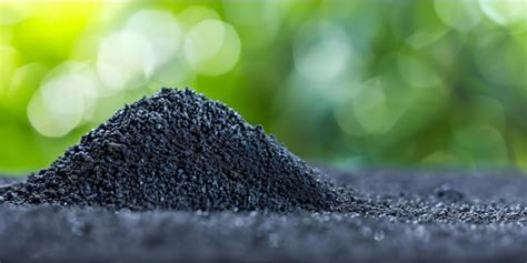 Enhancing Soil Health And Sustainability Through Biochar A Catalyst For