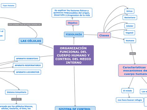 ORGANIZACIÓN FUNCIONAL DEL CUERPO HUMANO Y Mind Map