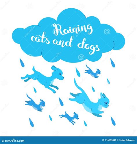 Raining Cats And Dogs