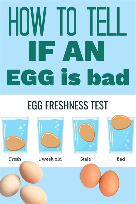 How To Tell If An Egg Is Fresh Science Hacks