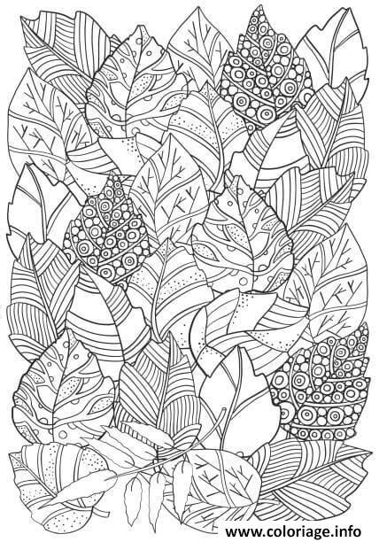 Coloriage Feuilles Automne Dessin Automne à imprimer