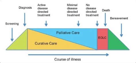 Representing The Continuum Of Palliative Care And End O Open I