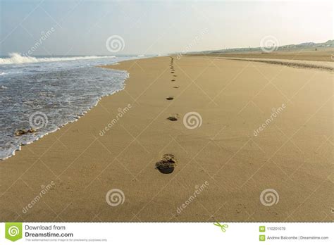 Fuga Dos Passos Na Areia De Uma Praia Abandonada Imagem De Stock