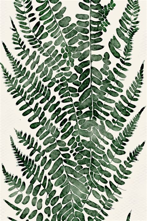 Download Fern Plants Foliage Royalty Free Stock Illustration Image