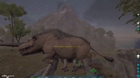 Ark Survival Evolved Taming A Daeodon Hell Pig Youtube