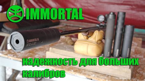 Глушитель для оружия .30 калибров IMMORTAL XL - обзор - YouTube