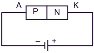 Reverse Biasing of PN Junction Diode - Definition, Theory & Diagram - ElectricalWorkbook