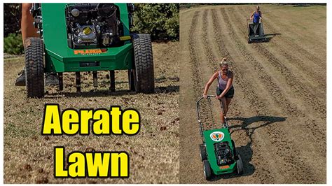 Aerating Bermuda Lawn Bermuda Grass Care