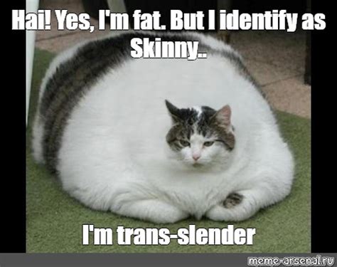 Meme: "Hai! Yes, I'm fat. But I identify as Skinny.. I'm trans-slender" - All Templates - Meme ...