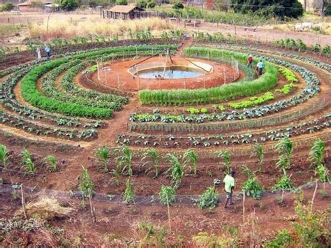 Oita Prefectures Unique Permaculture Farm Industry Global News