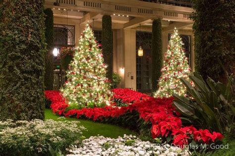 Pin by Terri Wilhelm on Christmas at Longwood Gardens | Holiday decor, Longwood gardens, Decor