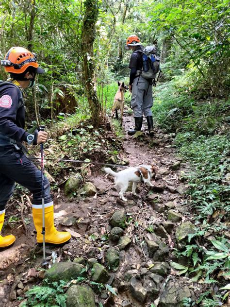 7旬老翁獨自登山失蹤第4天 發現疑似墜落地點 社會 中央社 Cna